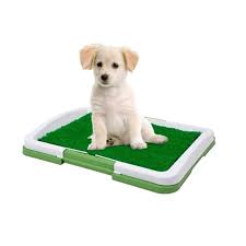[Per-1191] Bandeja Cesped Carpet