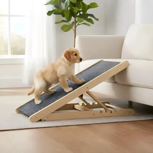 Rampa para Mascotas