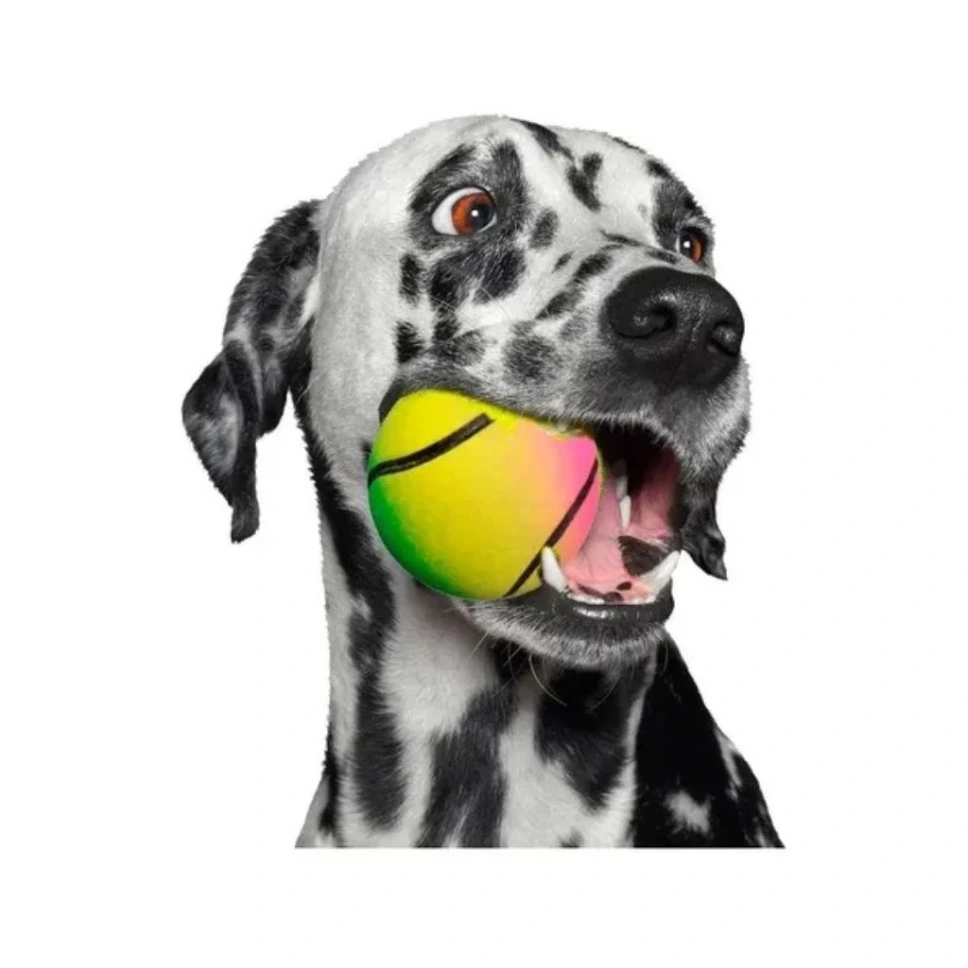 [Per-261] Pelota Comun Pet Play