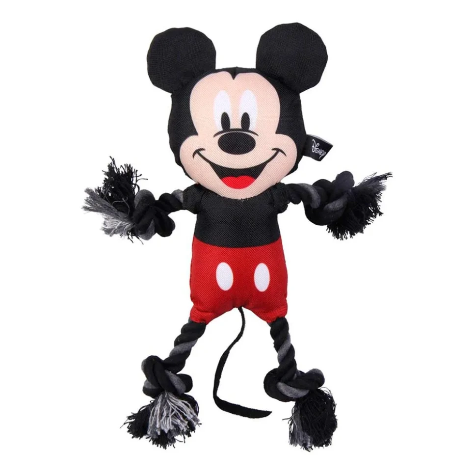 Cuerda Dental Mickey