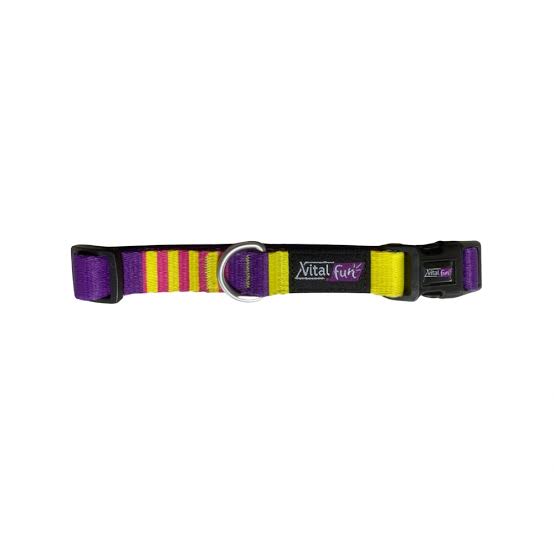Collar Pop Art